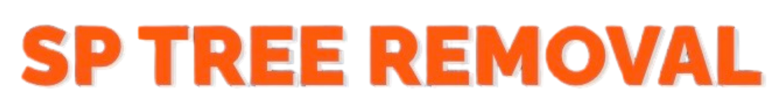 The text 