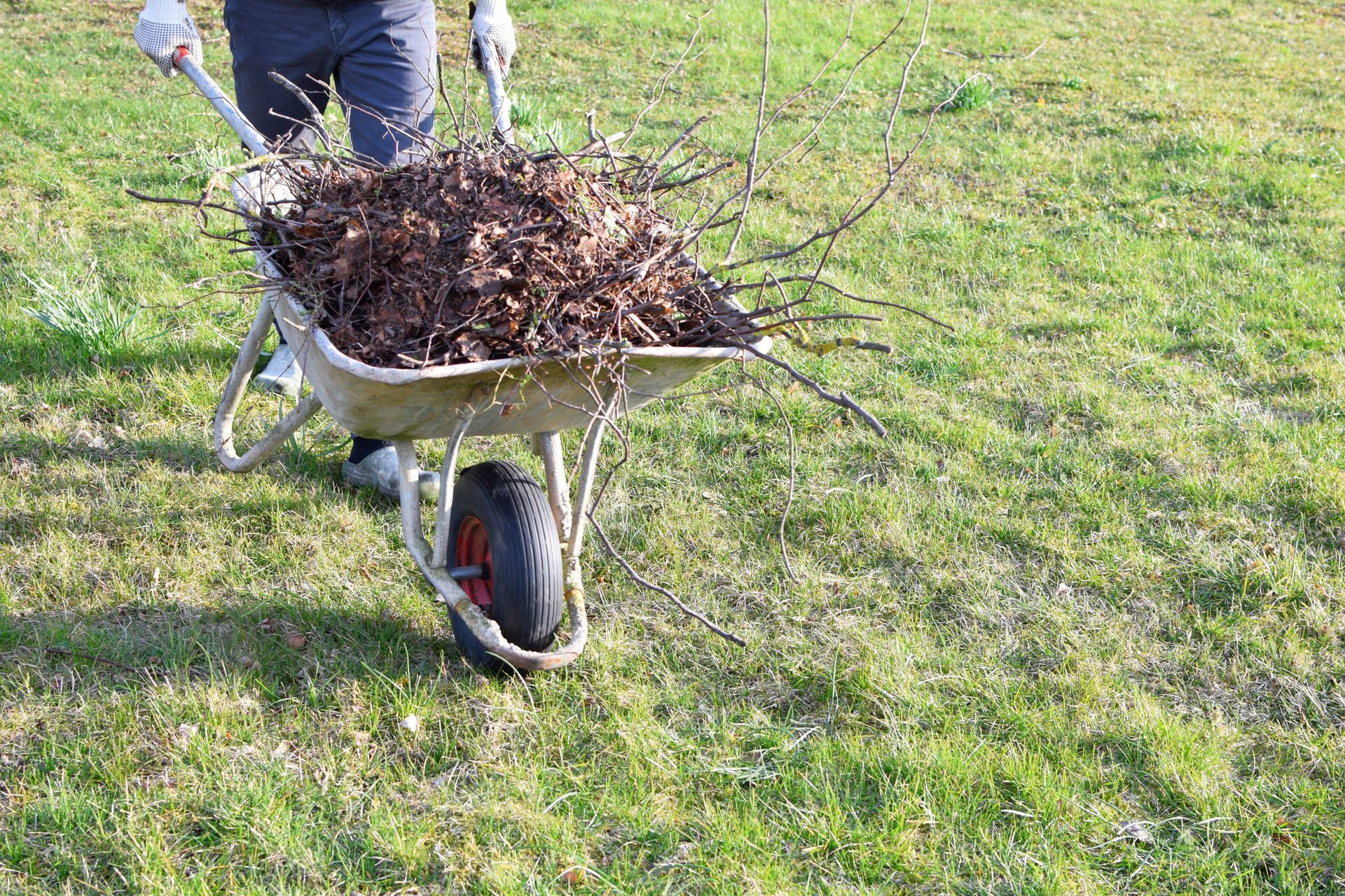 A person wearing gloves pushes a wheelbarrow filled with dry leaves and twigs across a grassy field.