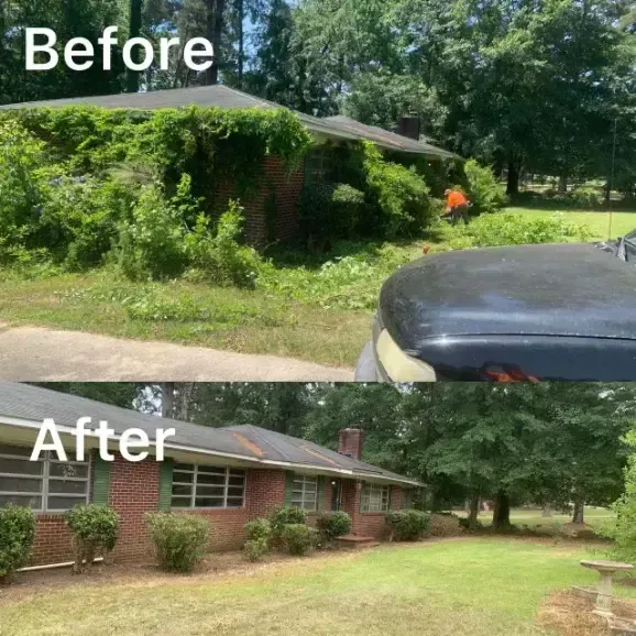 Before and after photos of a brick house cleared of overgrown vines and shrubs, revealing the front windows and yard.