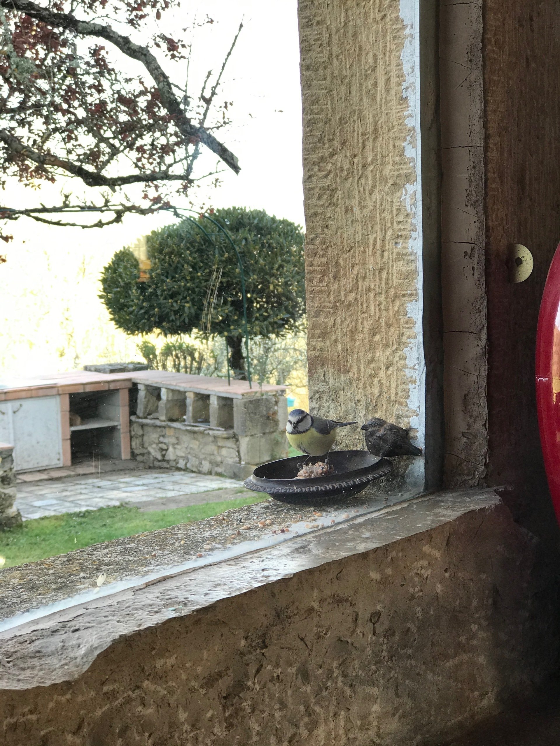 Le Domaine des Verdier, un havre de paix ou il fait bon vivre