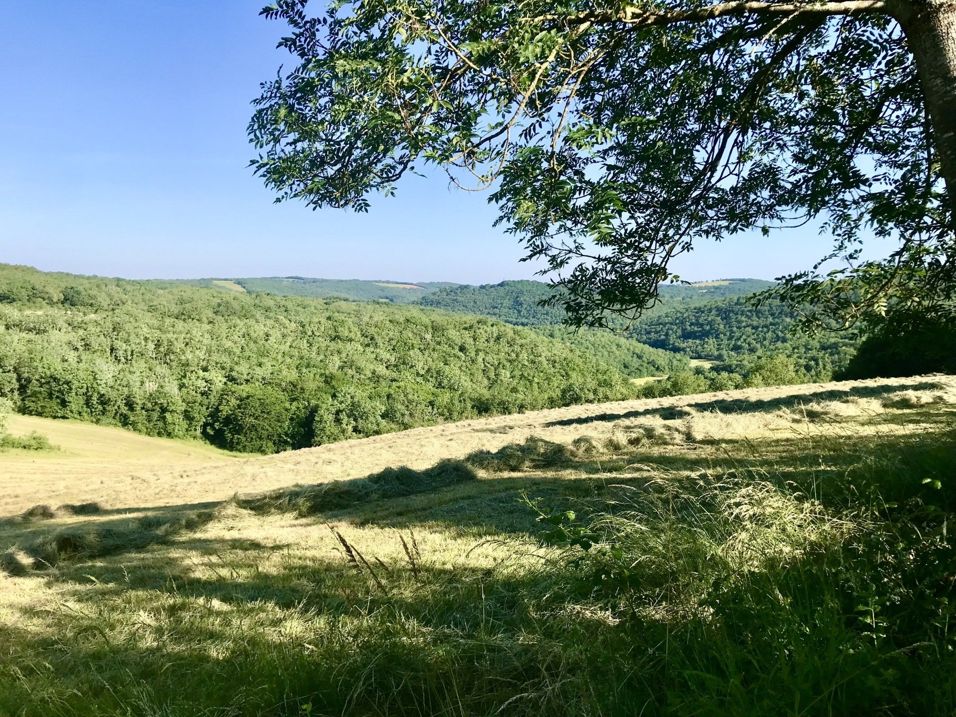 Le Domaine des Verdier, un havre de paix ou il fait bon vivre