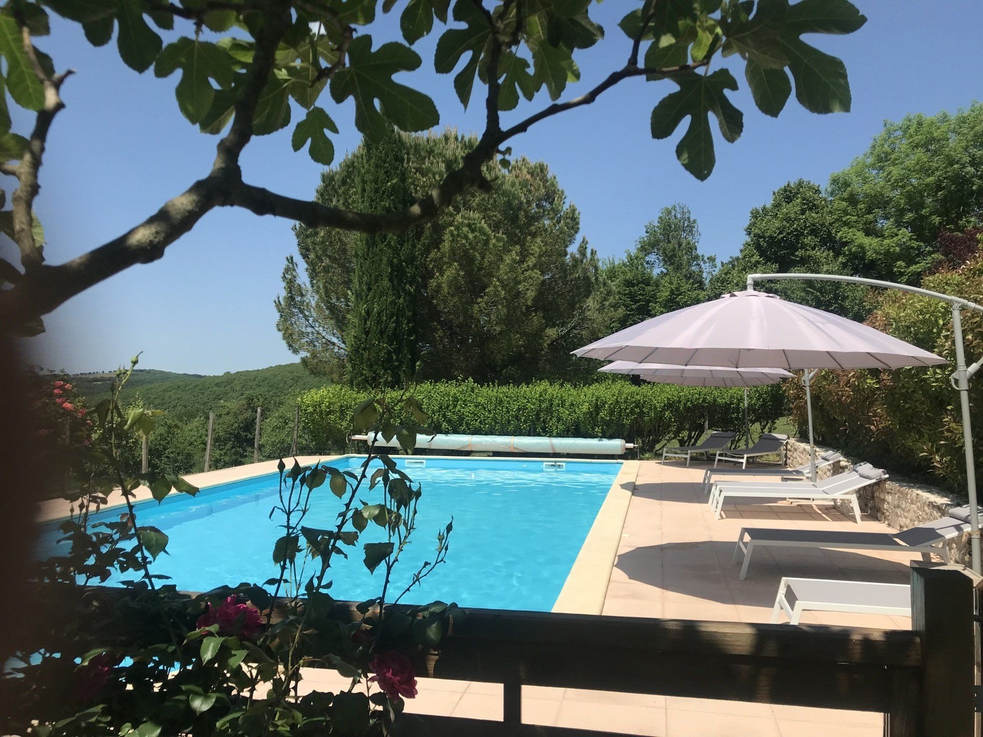 DOMAINE DES VERDIER