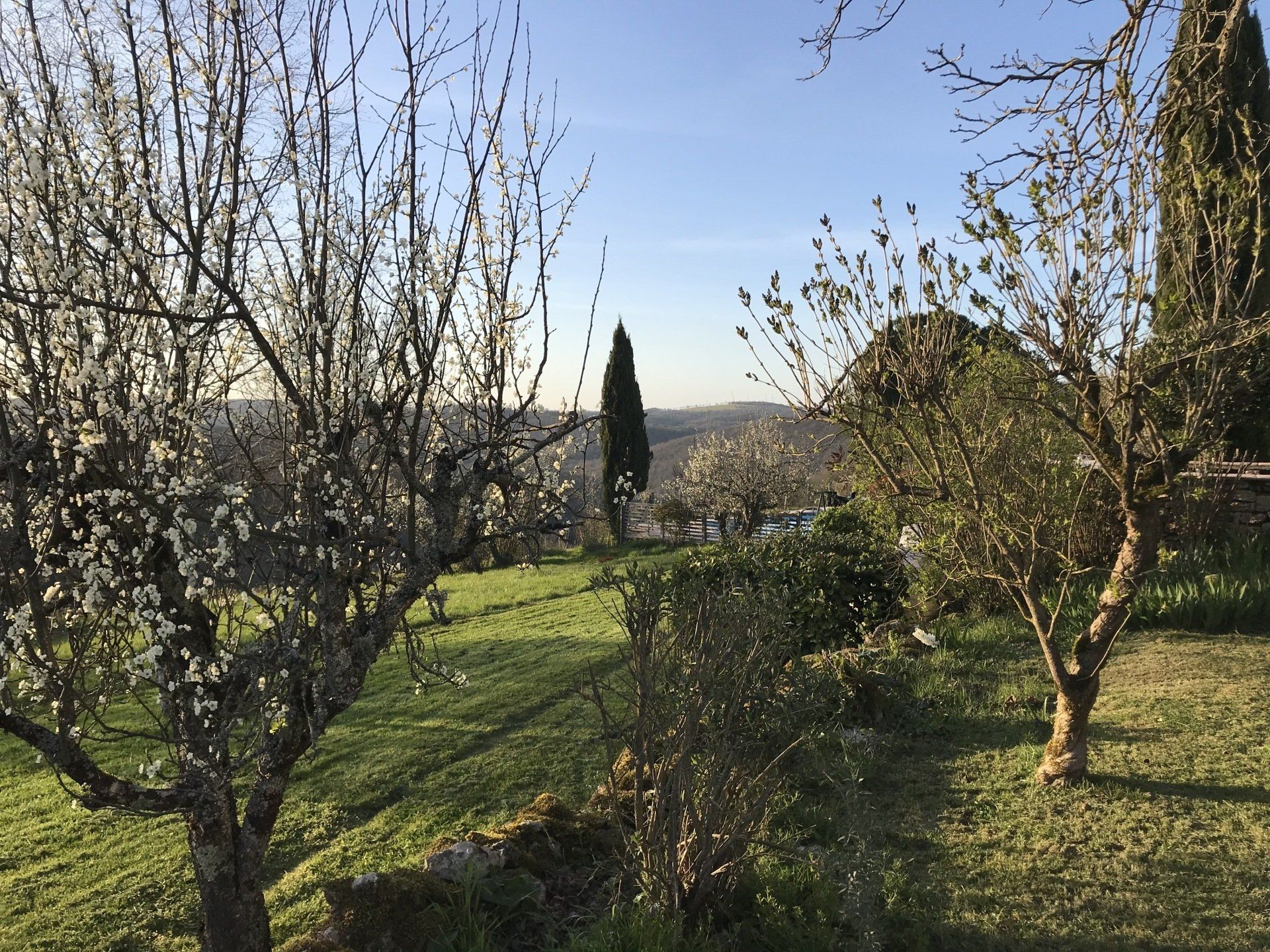 DOMAINE DES VERDIER