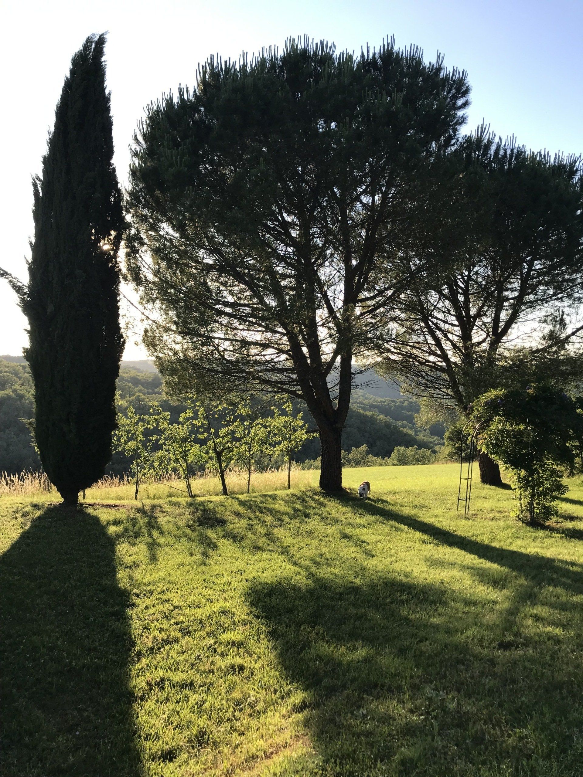 Vue du verger au Domaine des Verdier (46)