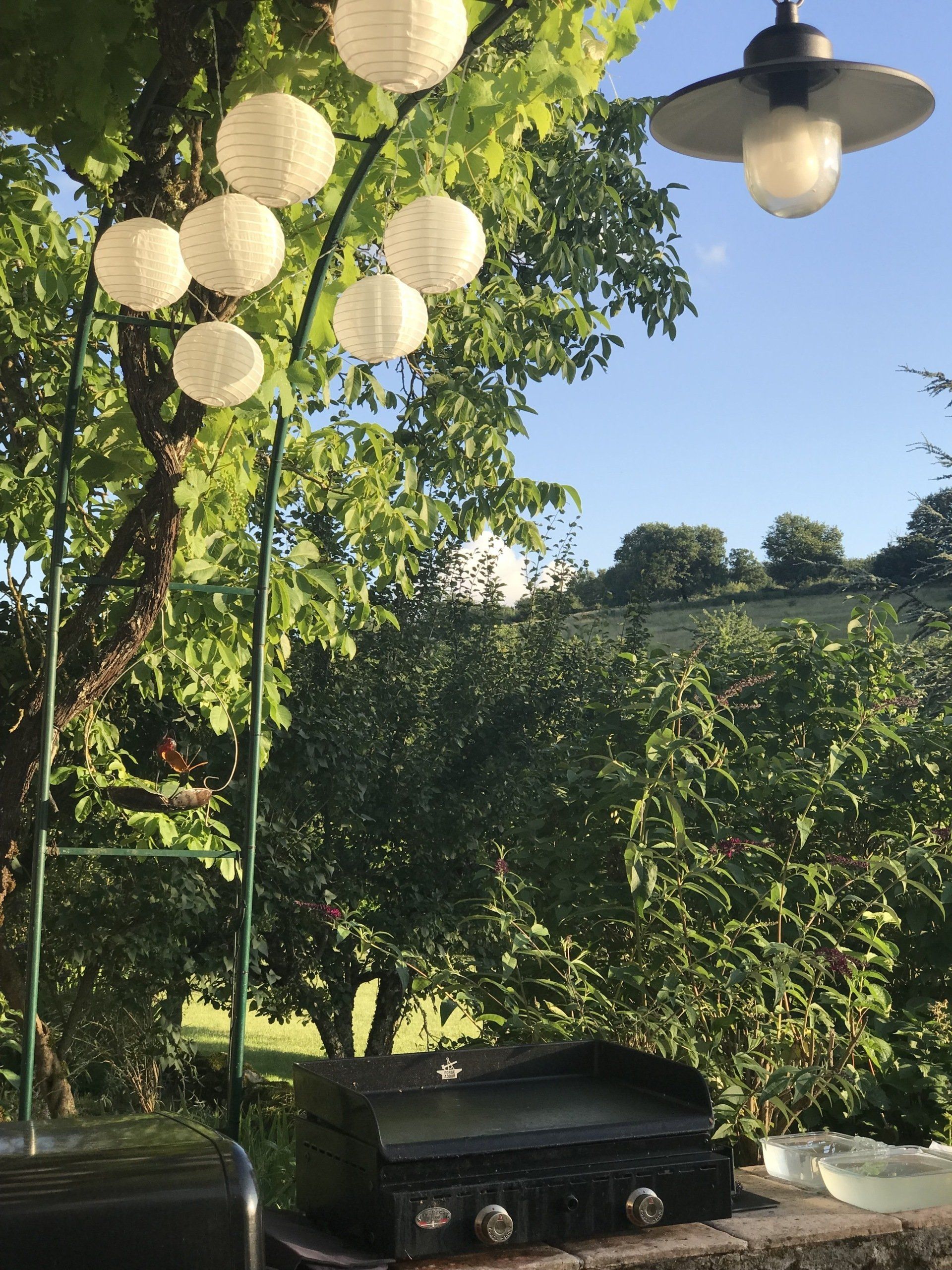 DOMAINE DES VERDIER