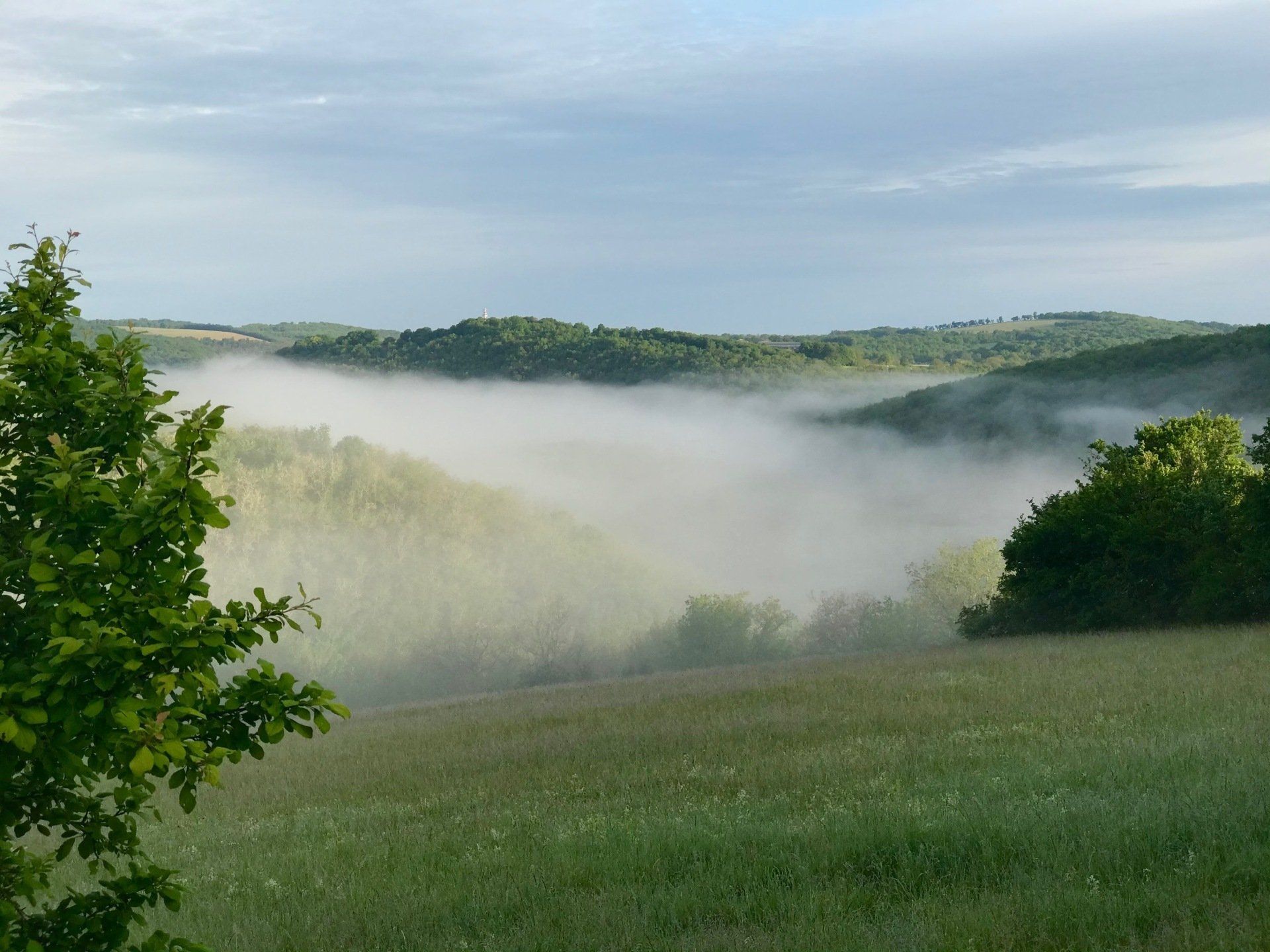 Une campagne magique au Domaine des Verdier (46)