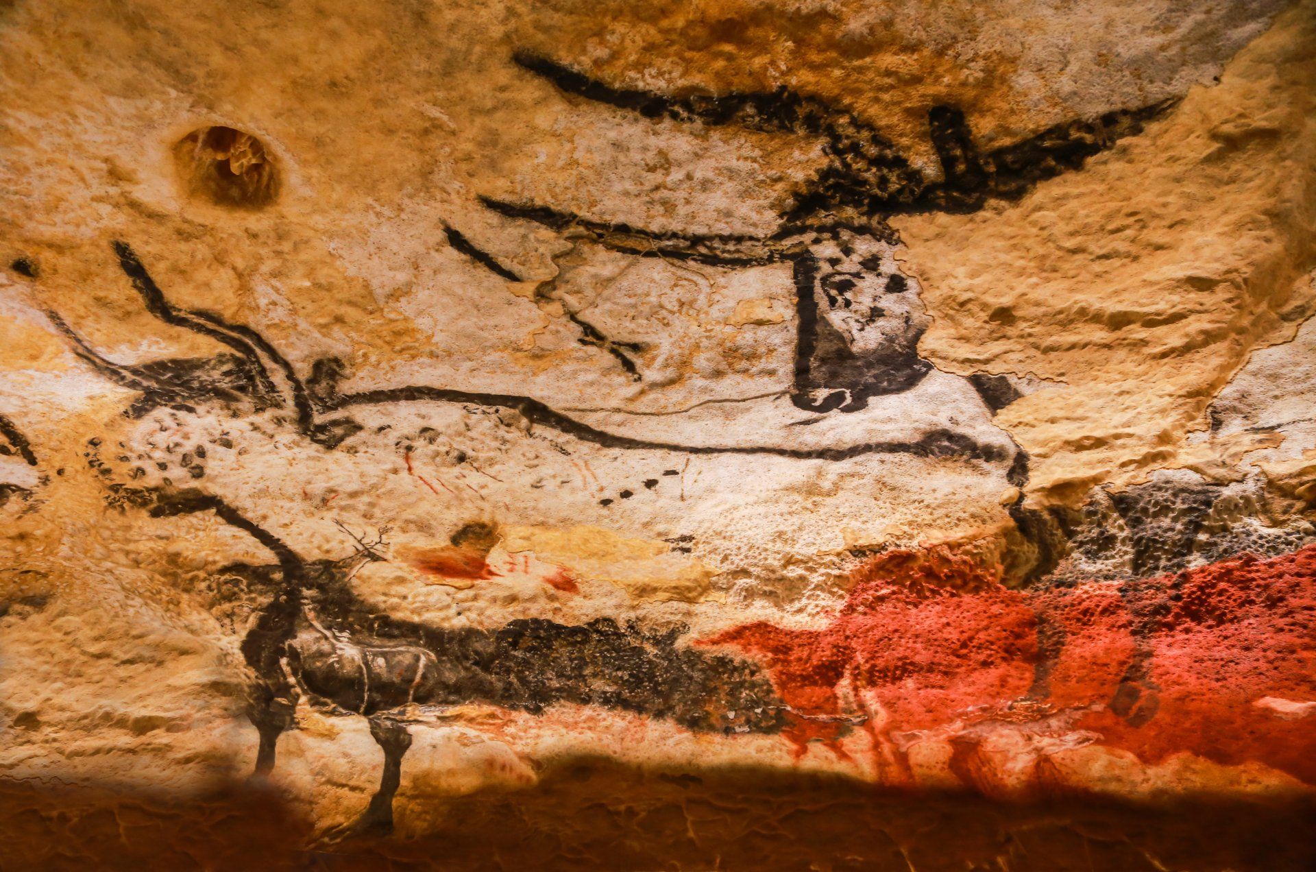 Grottes de Lascaux