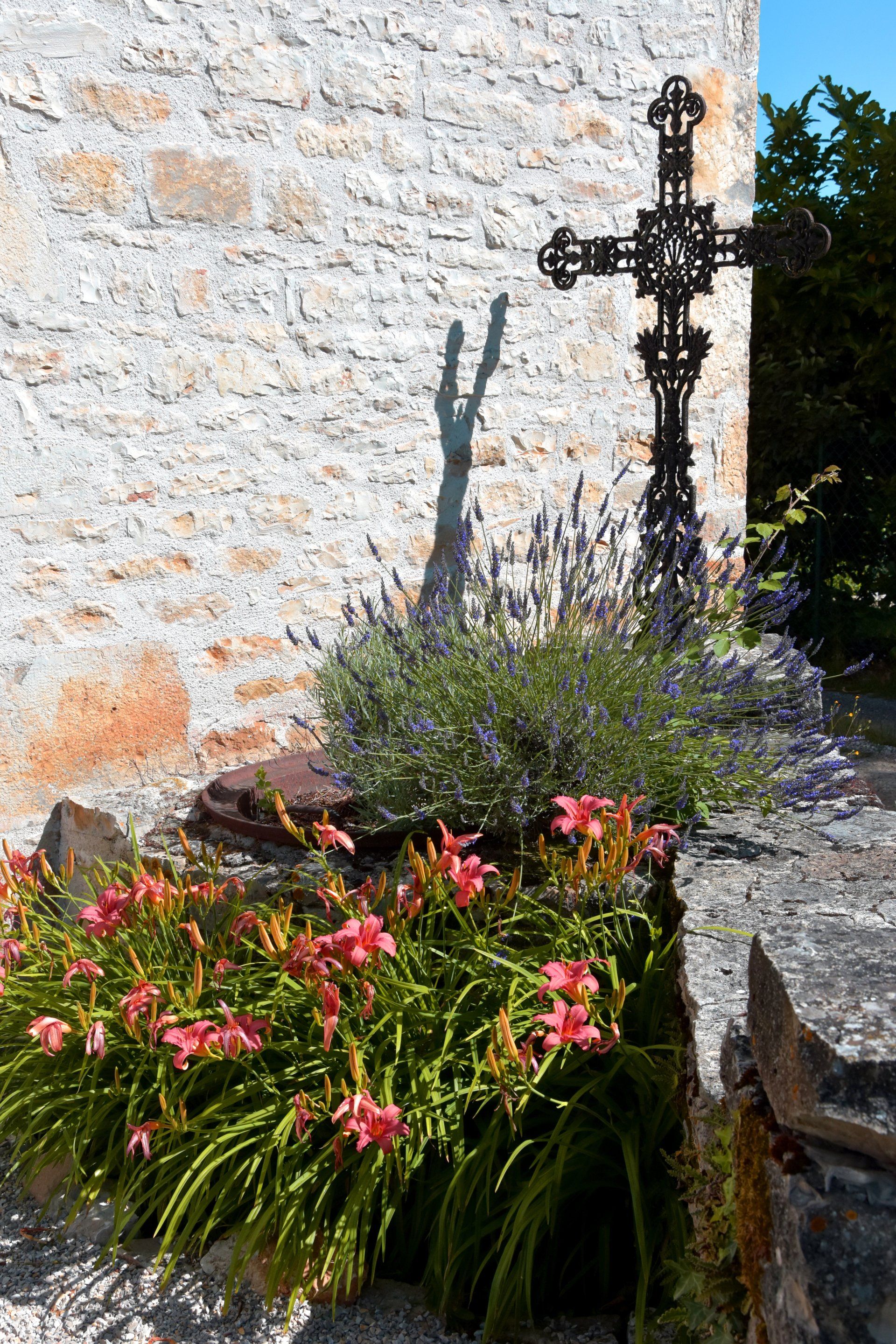 DOMAINE DES VERDIER