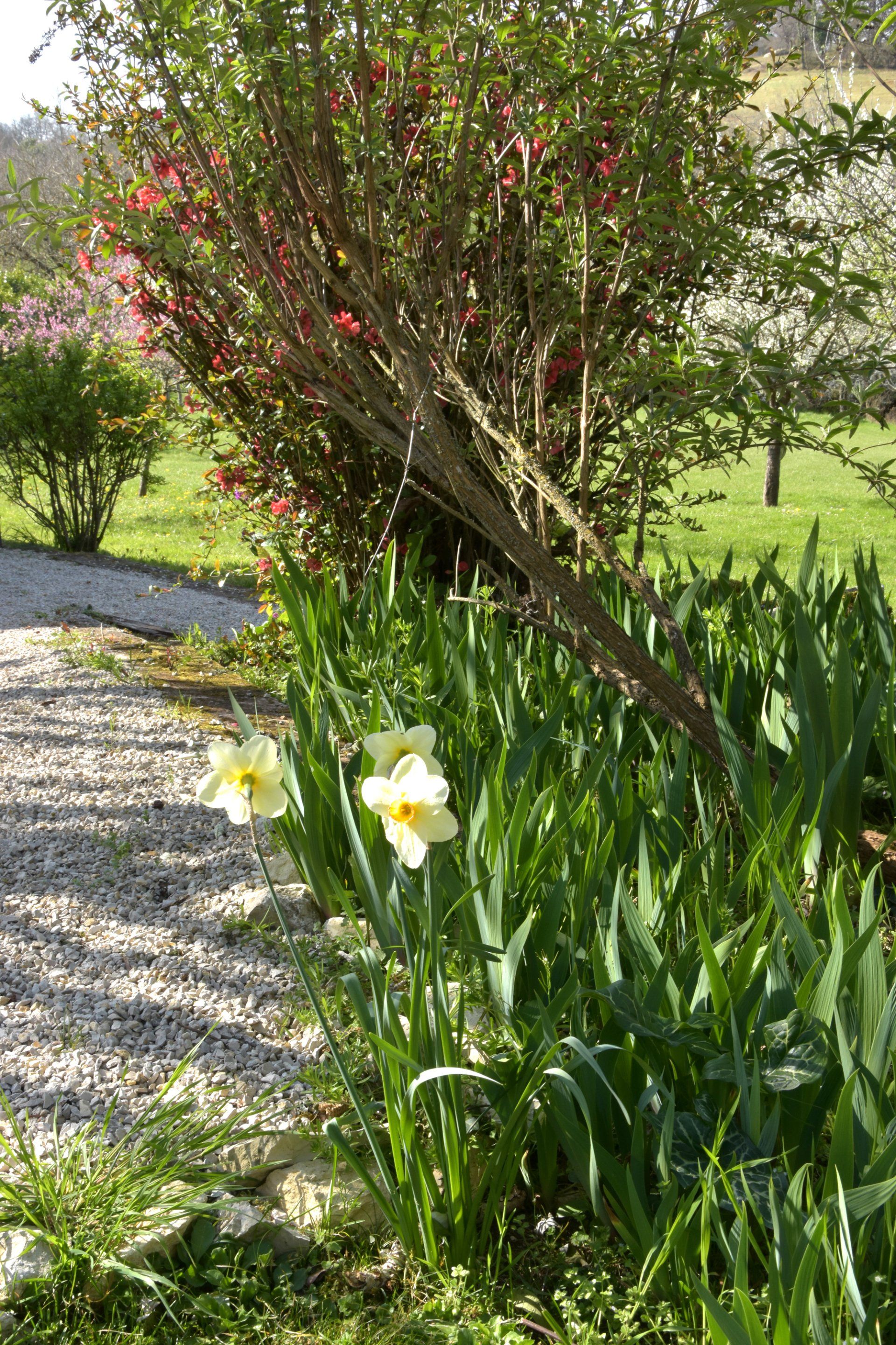 DOMAINE DES VERDIER