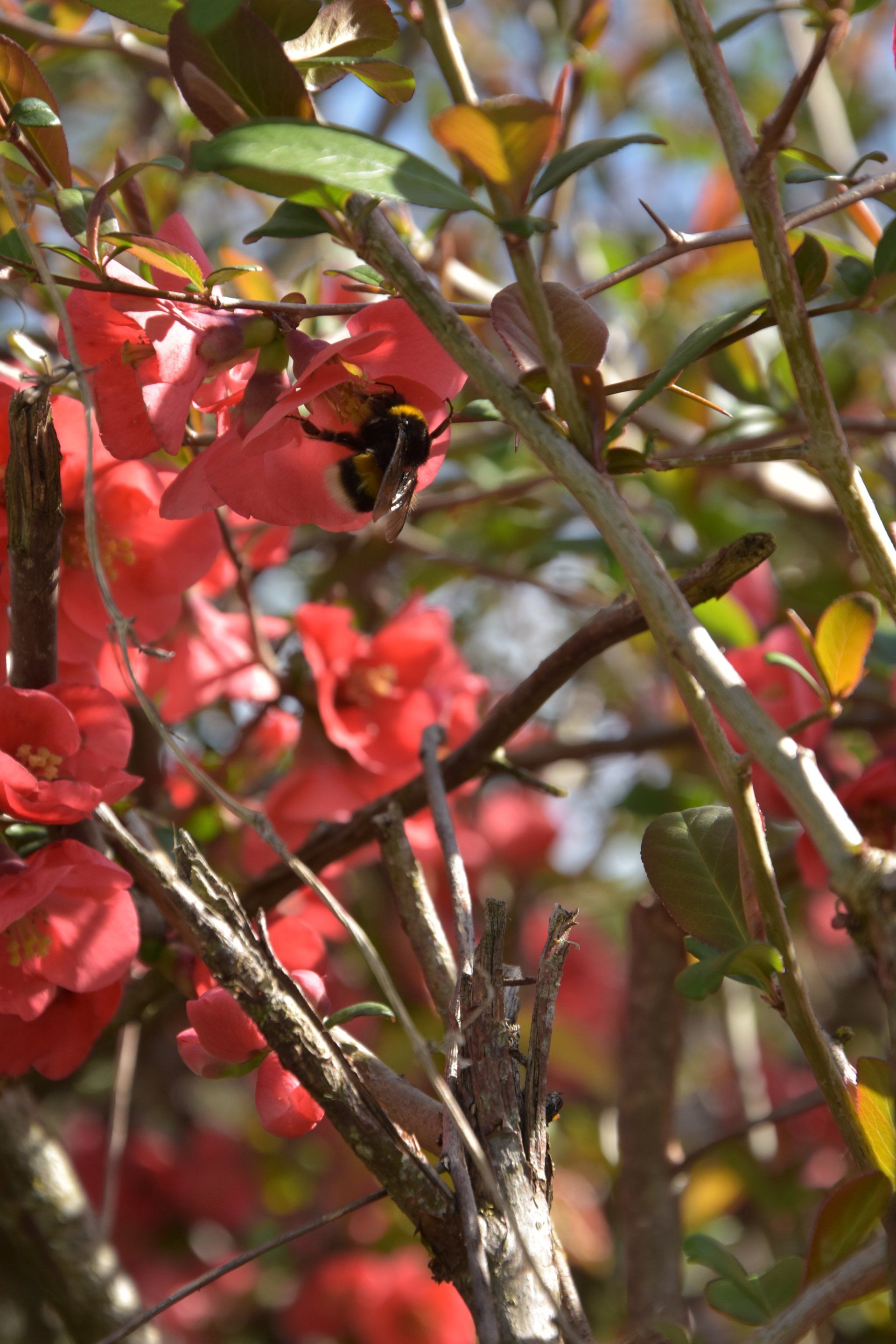 DOMAINE DES VERDIER