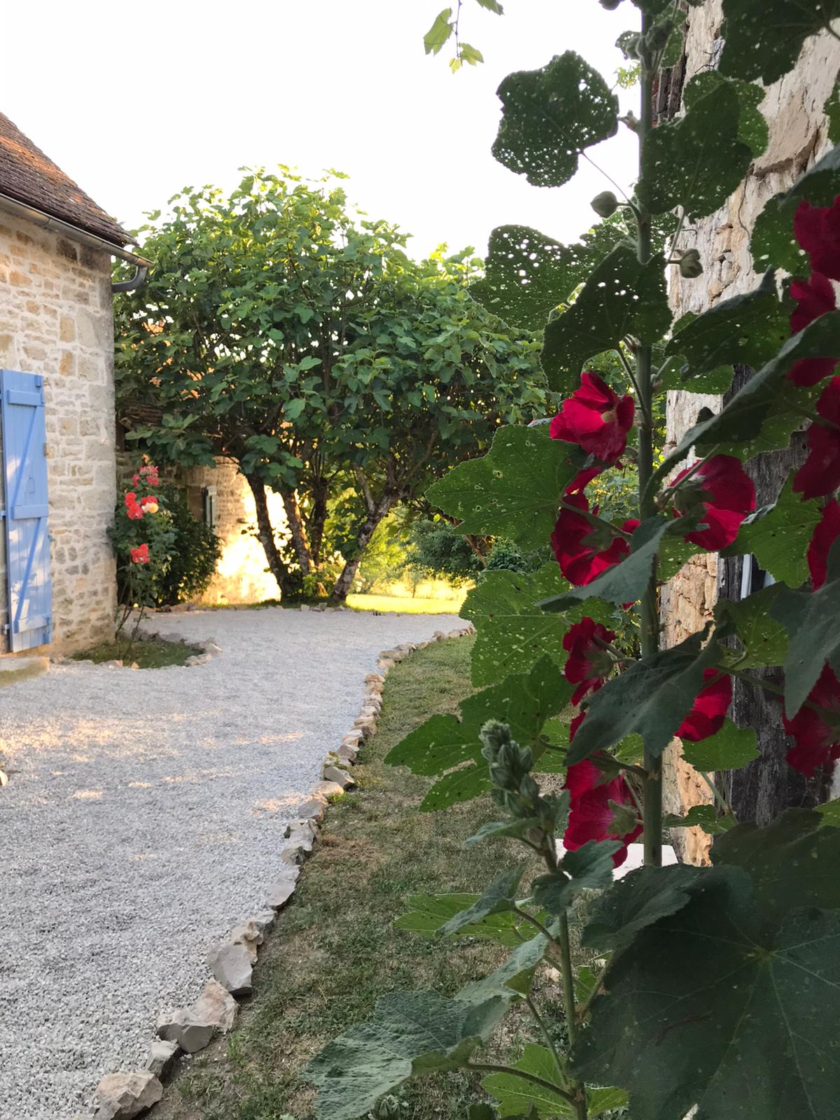 DOMAINE DES VERDIER
