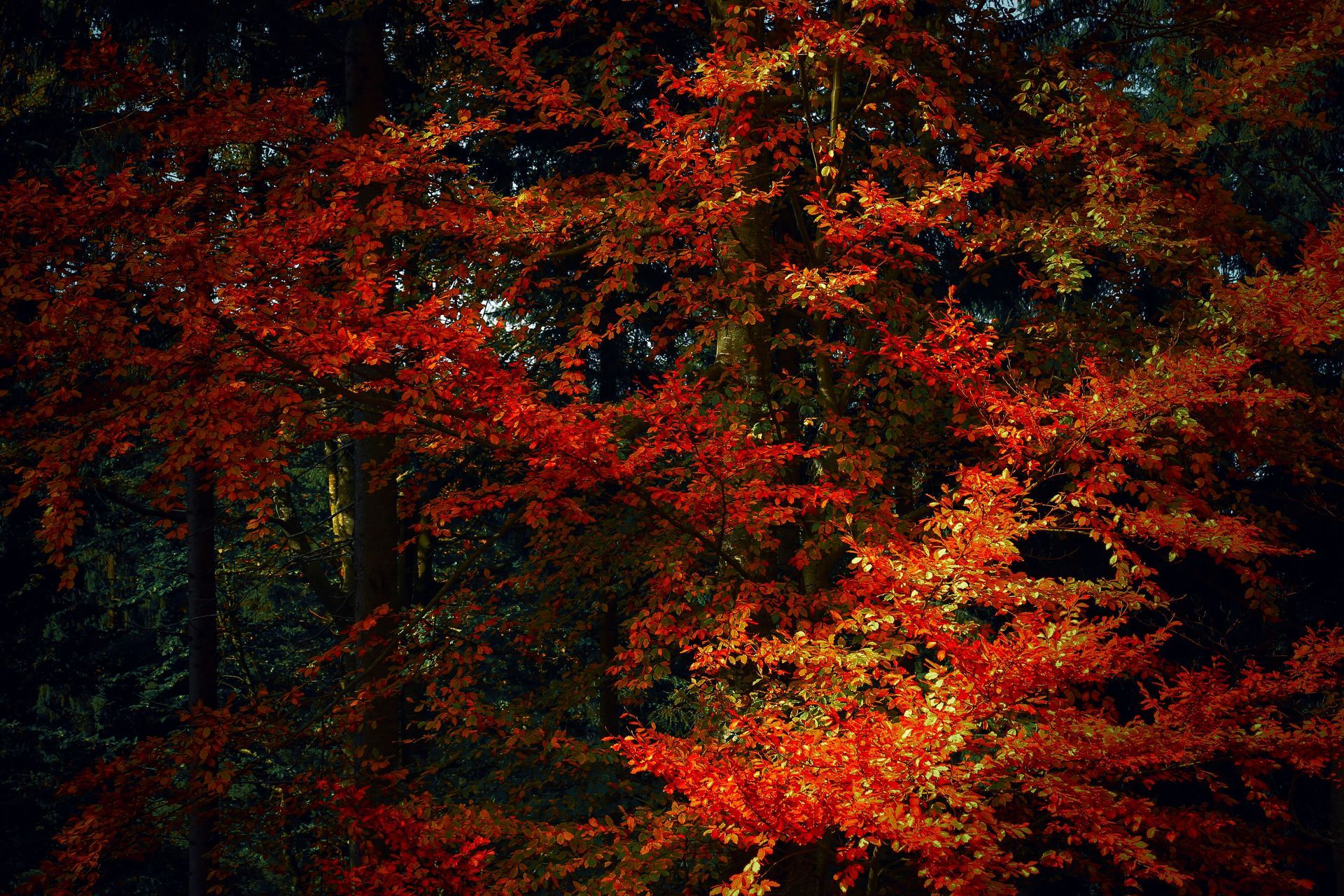 Lot à l’automne : paysages colorés, villages authentiques et belles journées ensoleillées.