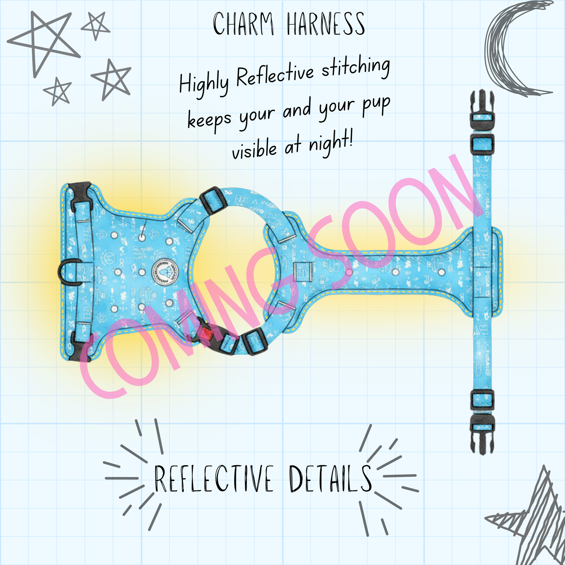 Charm Harness