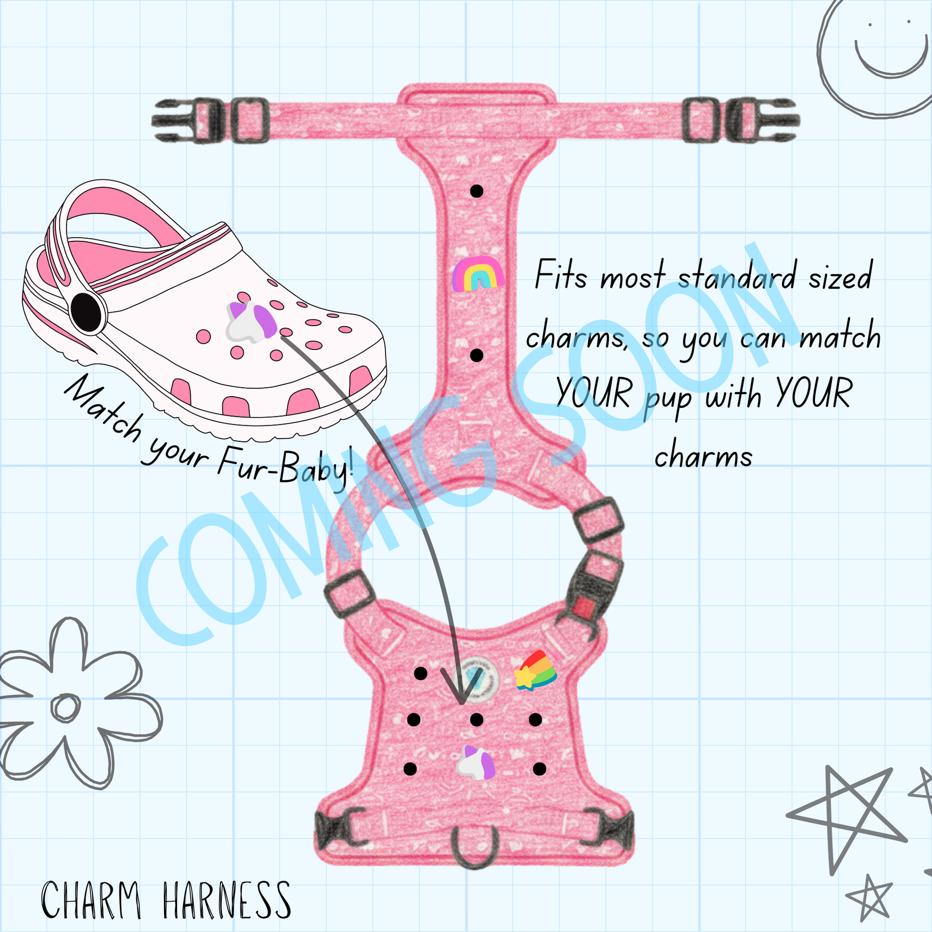 Charm Harness