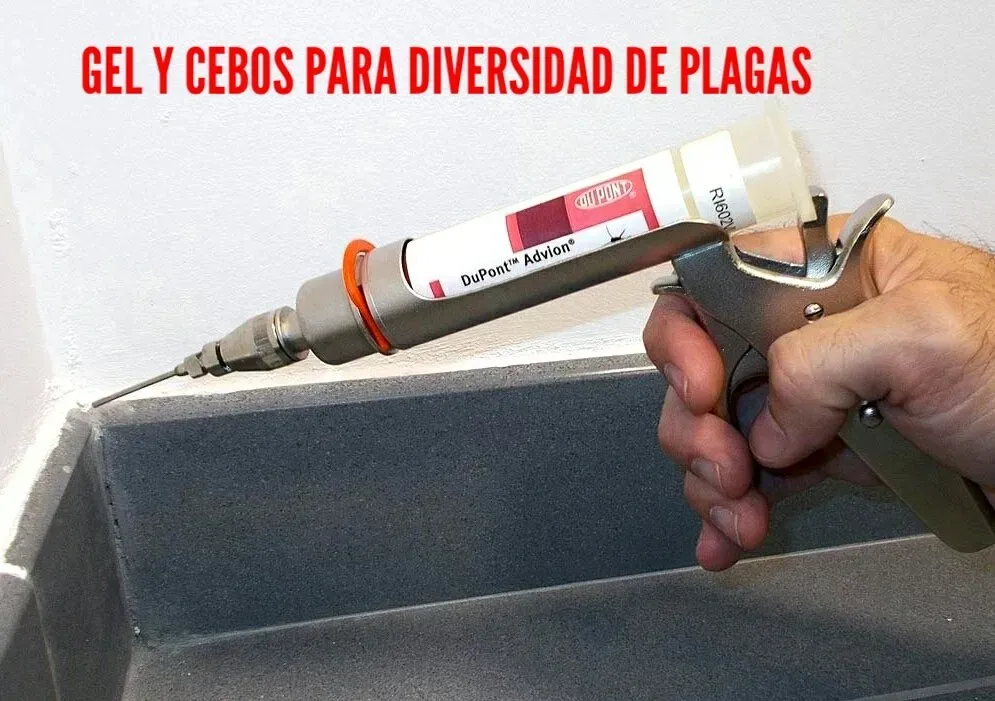fumigación