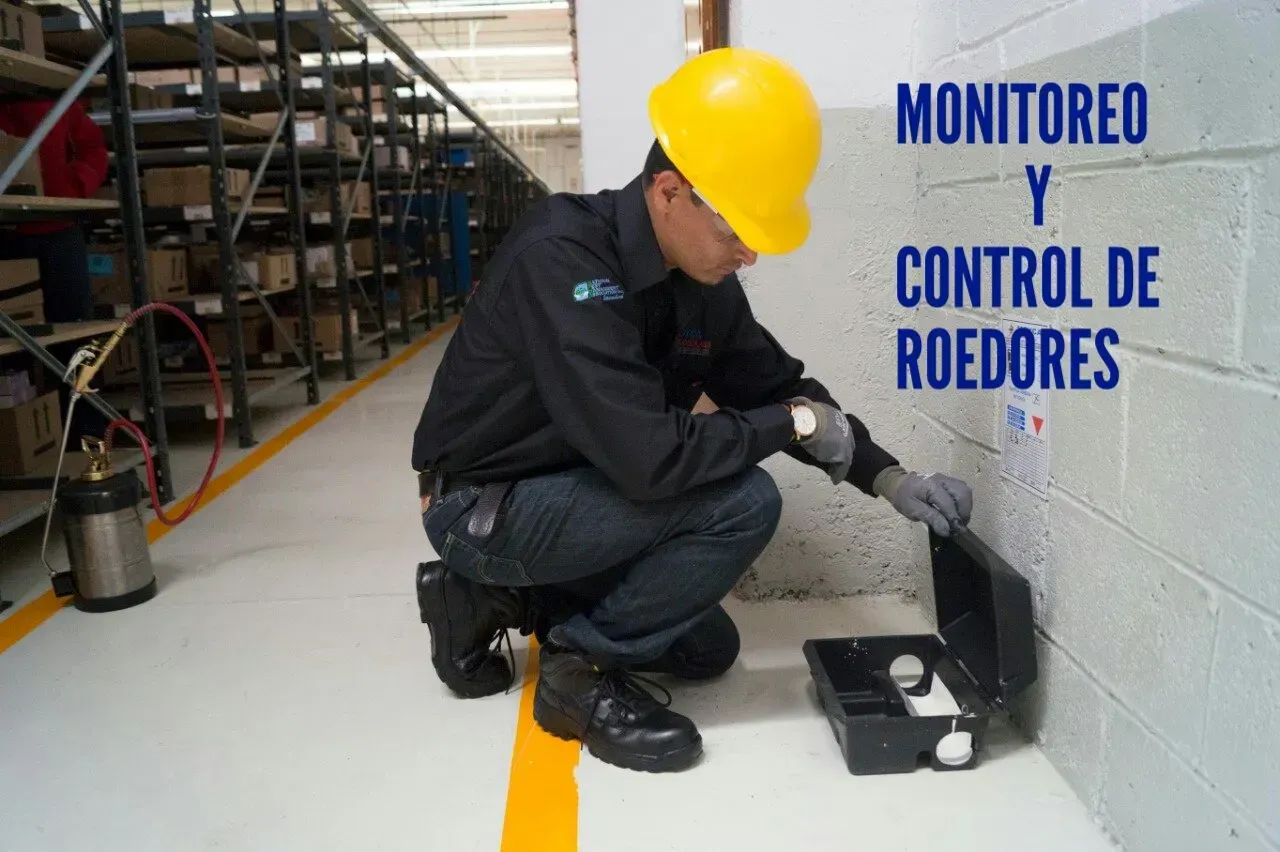 trabajos en terreno