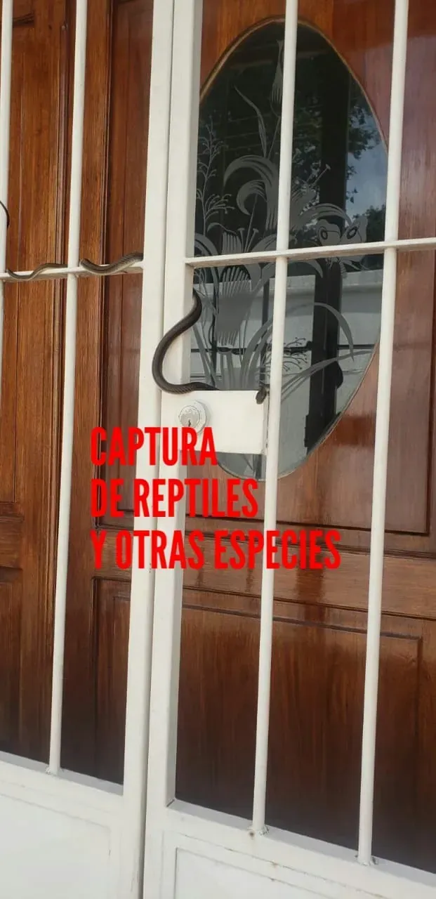fumigación