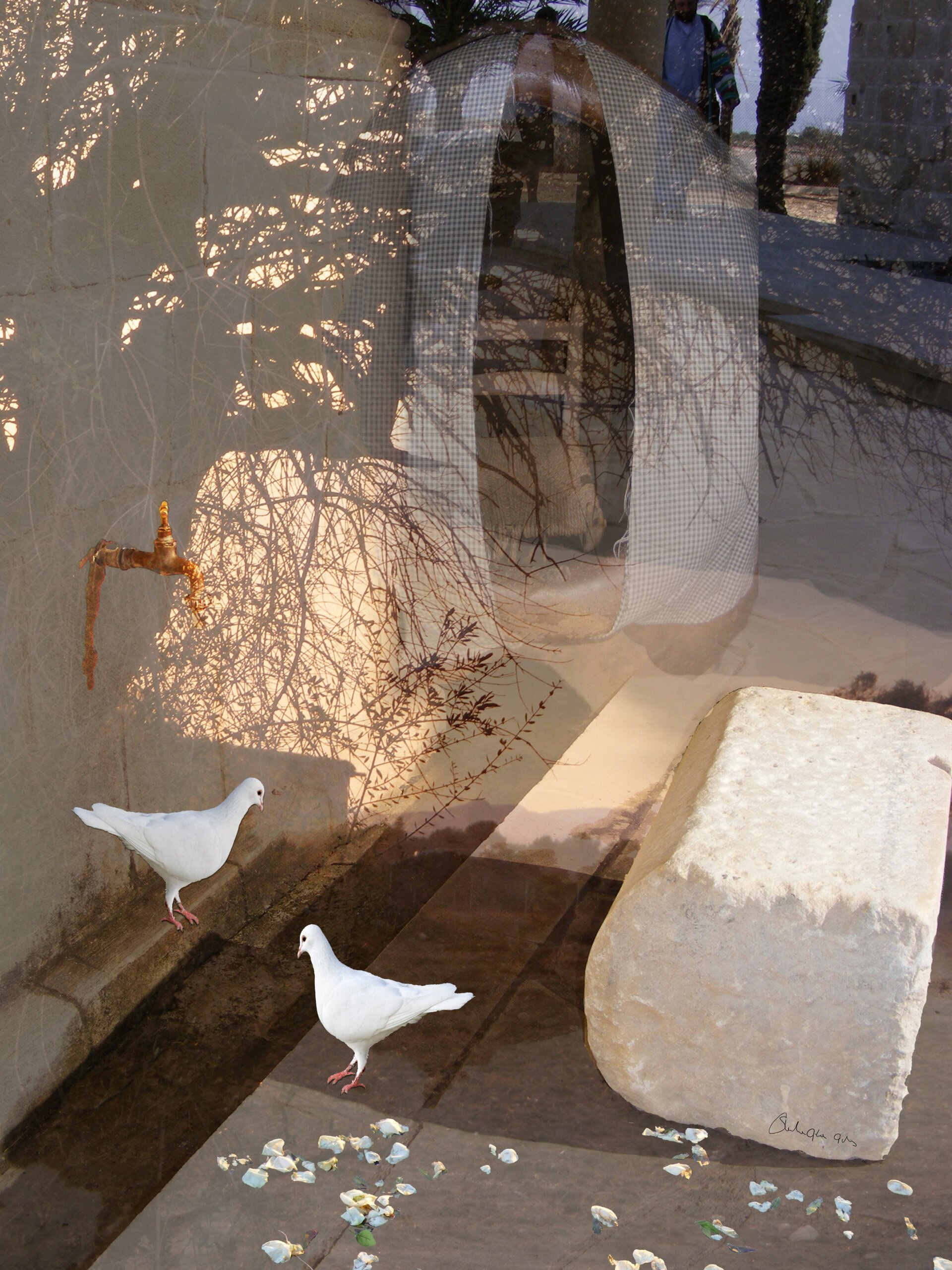 To Wash Branches - Digital Montage by Sheila Giles