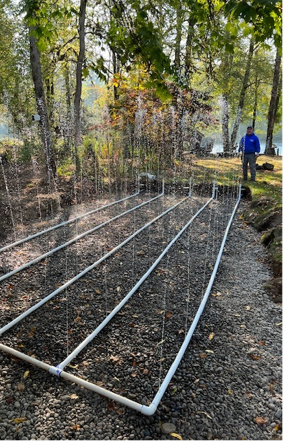 A man watches a sprinkler system with water spraying. White pipes are in rows on gravel. Outdoors, trees.