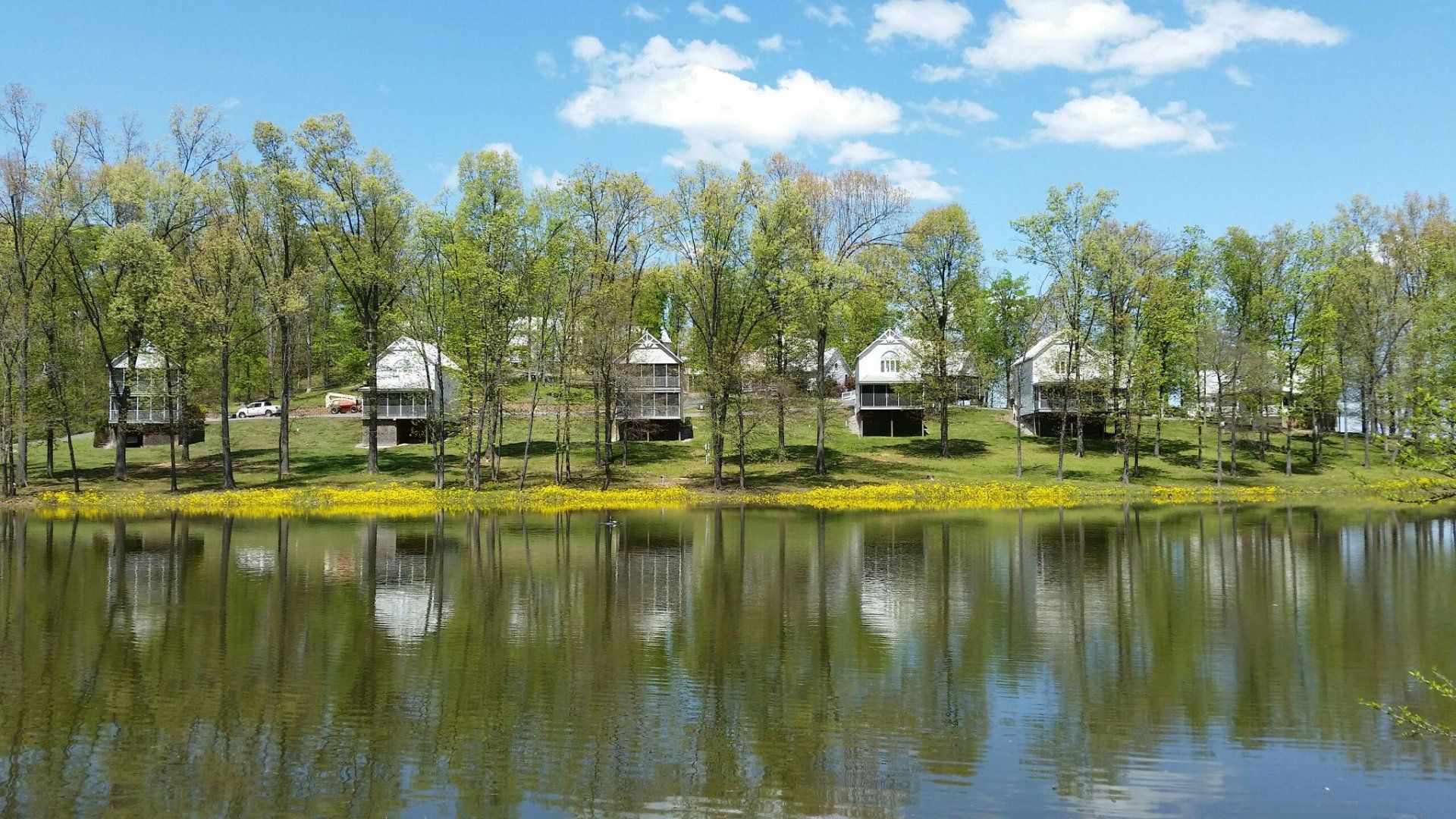 A lake surrounded by trees and houses on a sunny day.