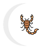 A scorpion is sitting on a crescent moon on a white background.