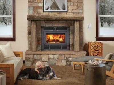 A child and a dog are sitting in front of a fireplace in a living room.