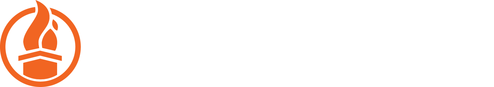 chimney solutions logo in white
