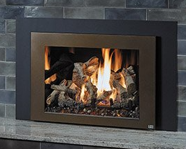 Fireplace insert