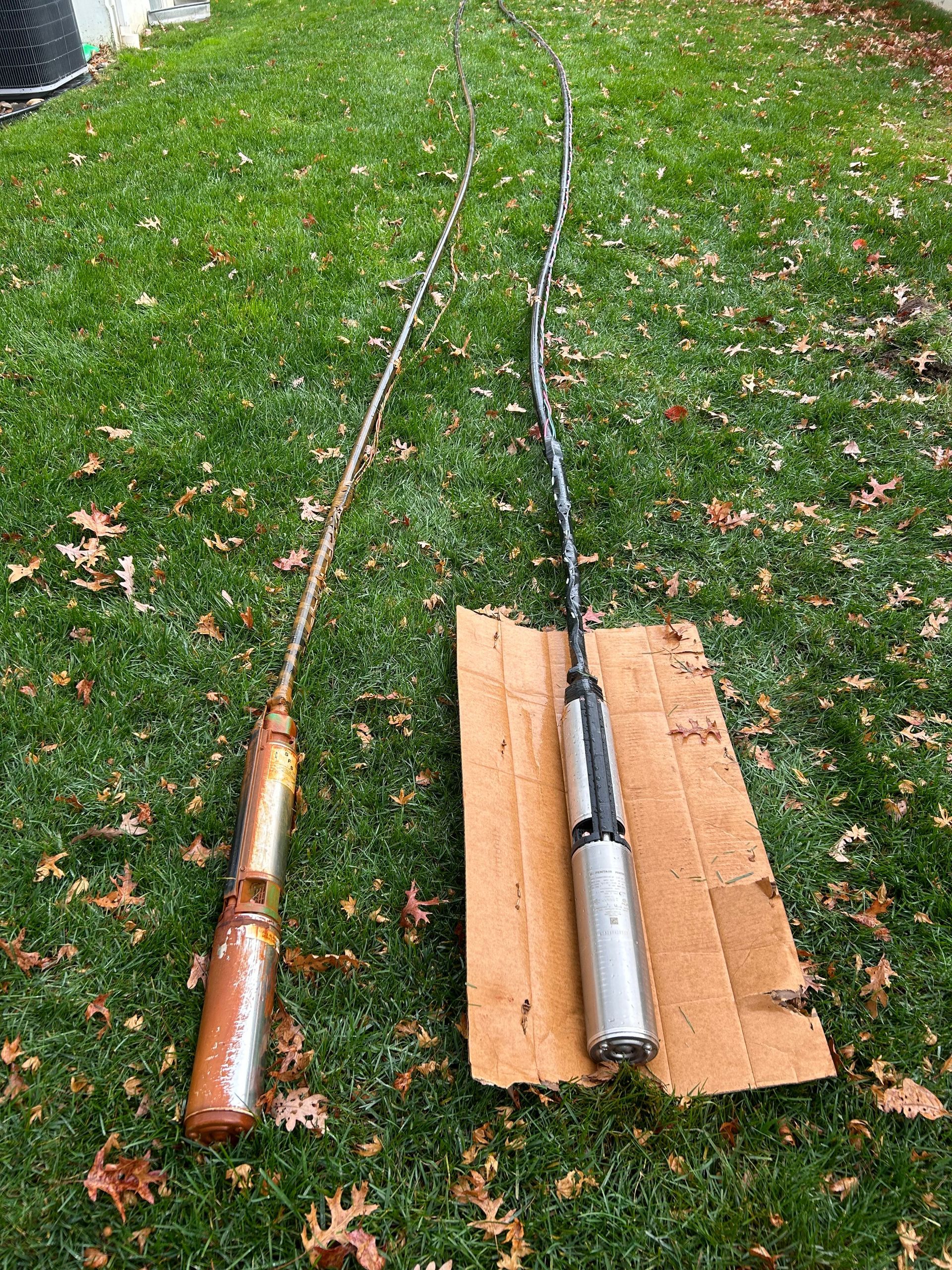 Two long, thin antenna poles on grass; one reddish-brown, one silver/black, both with long, thin whips.
