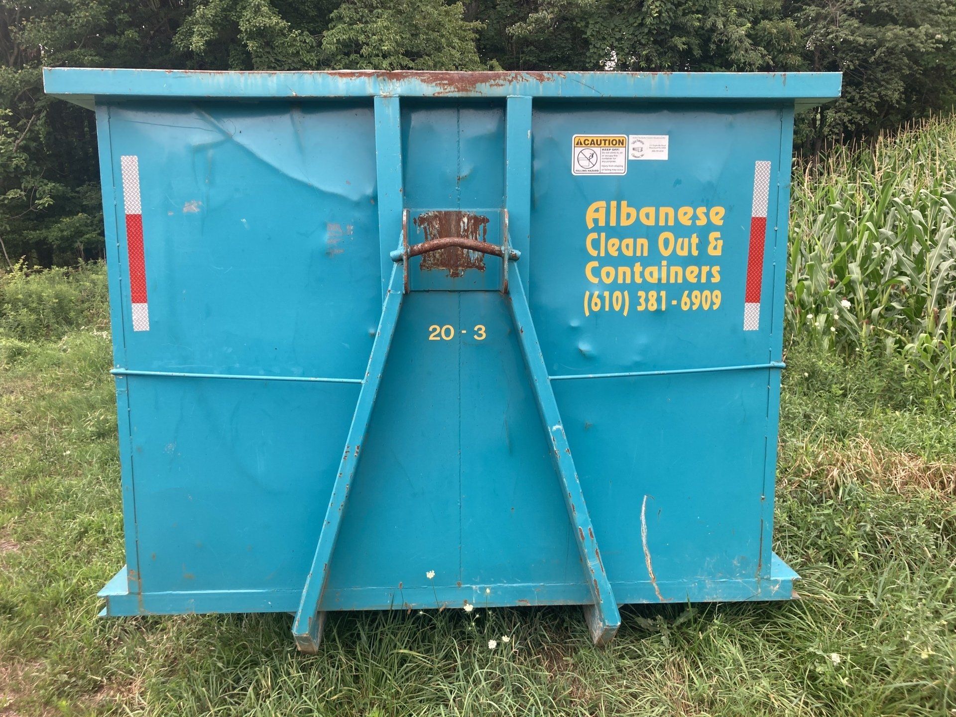 A blue dumpster with albanese clean out & containers written on it