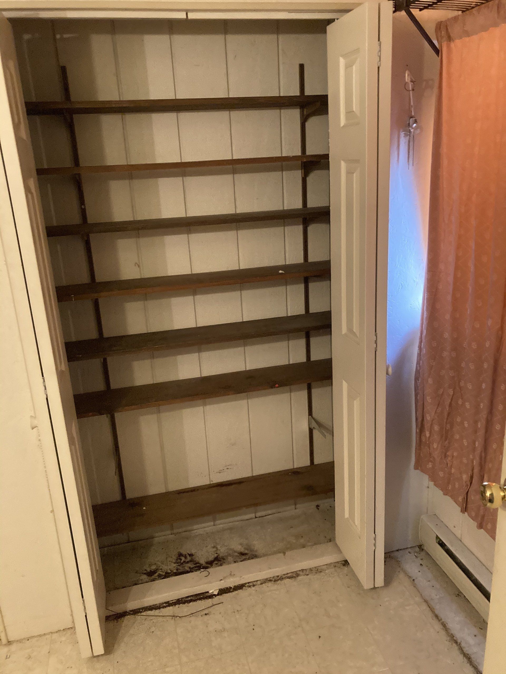 A closet with shelves and a window in the background