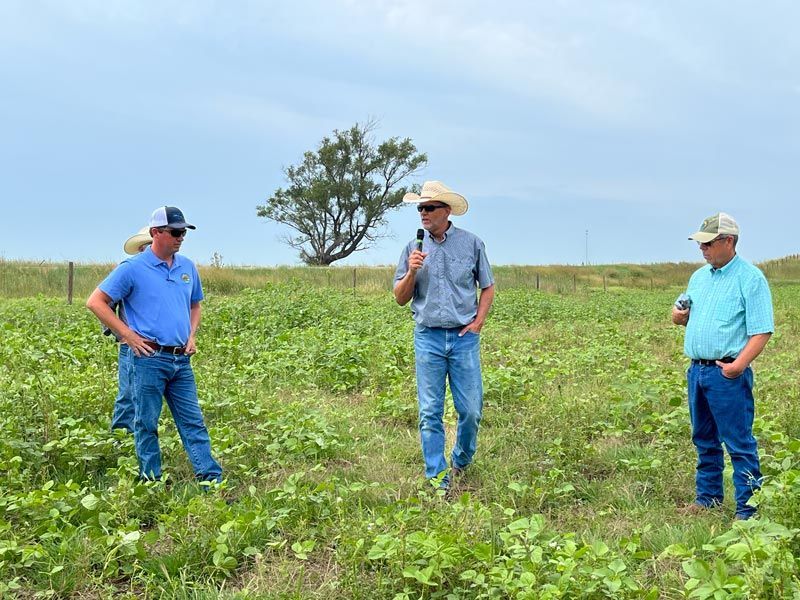 3 men standing in a green field