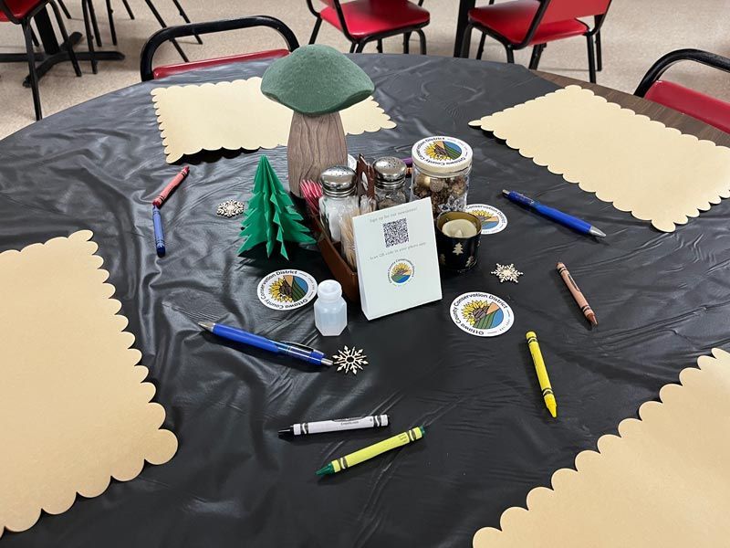 table setting