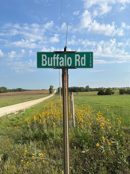 buffalo rd green and white street sign along a country dirt road