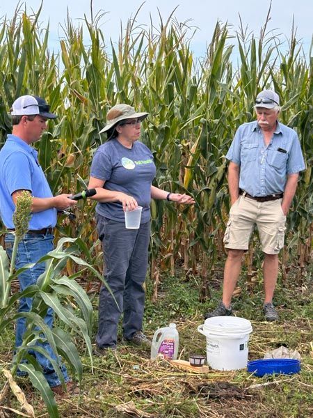2 men and 1 woman discussing soil health in a tall corn field