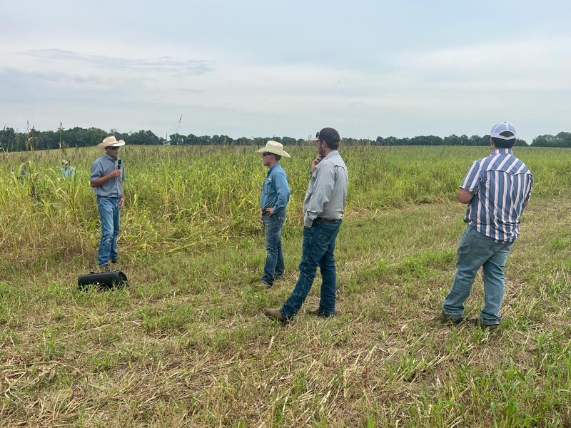 men listening to a speaker in a green field