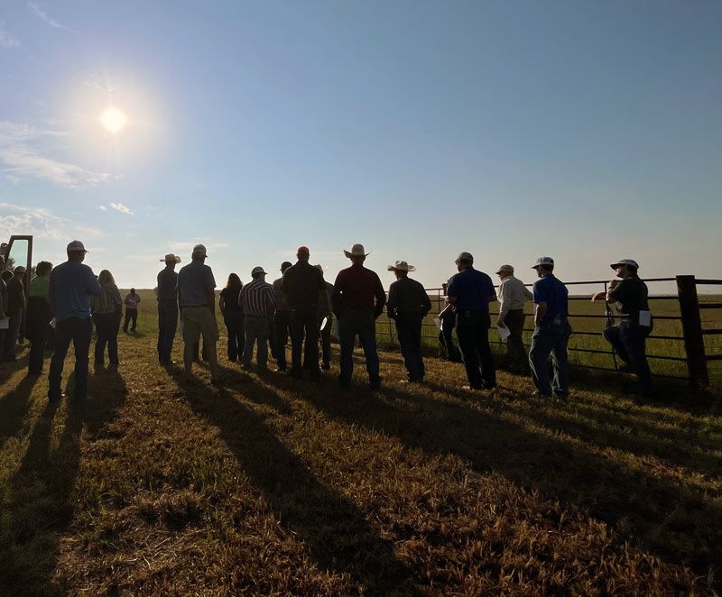 large group of people in a field next to a pipe fence