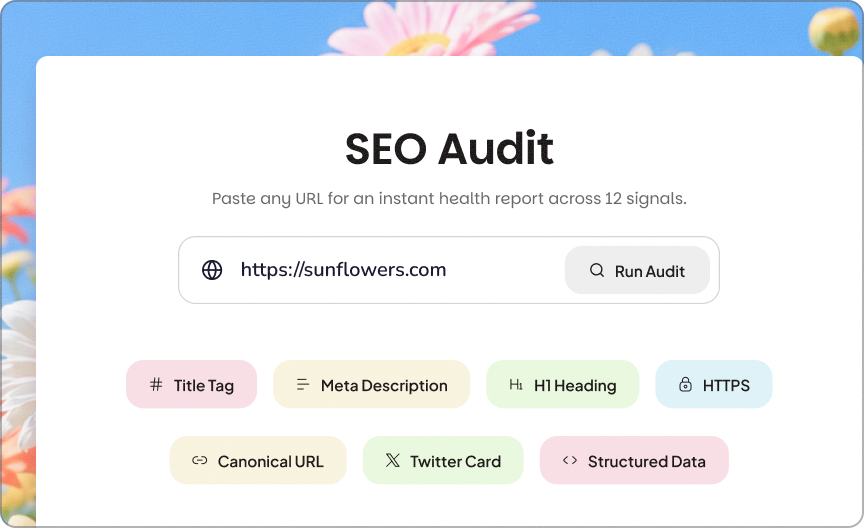 SEO Audit Tool