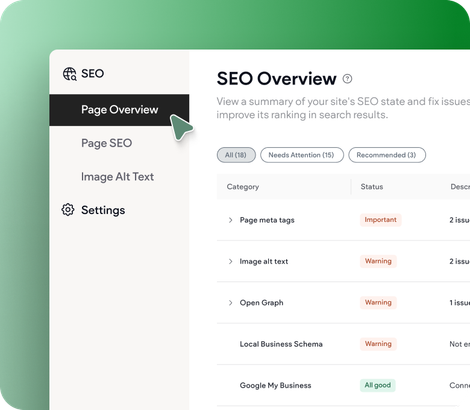 A screenshot of the seo overview page on a computer screen.