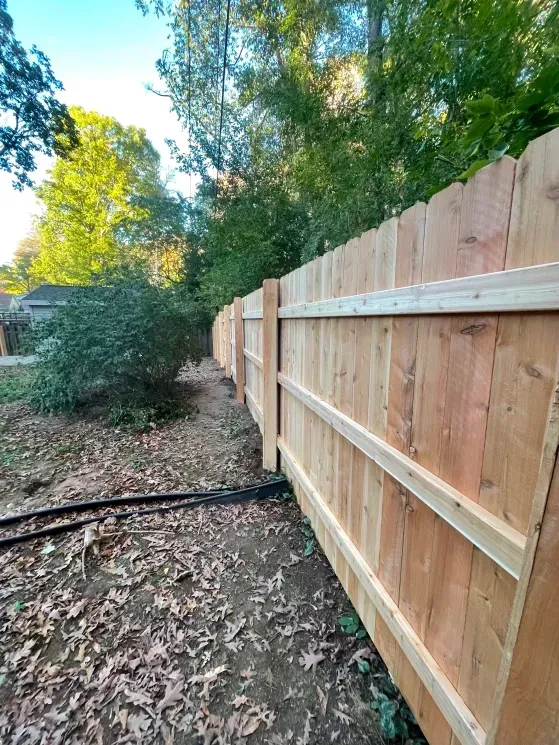 Wooden fence along a leaf-covered yard with trees and a black irrigation hose