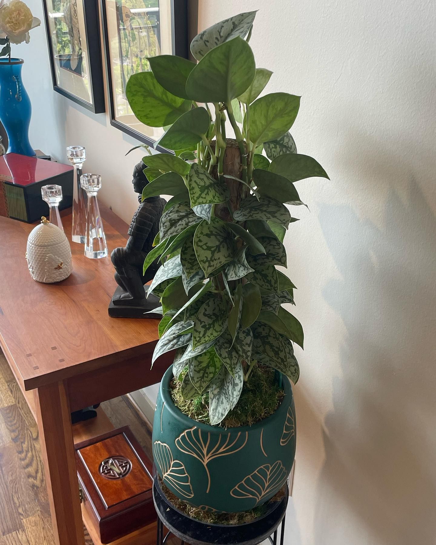 Tall potted houseplant with speckled leaves and green pot on a table with other decor.