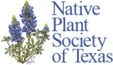 Logo for Native Plant Society of Texas with bluebonnet illustration.