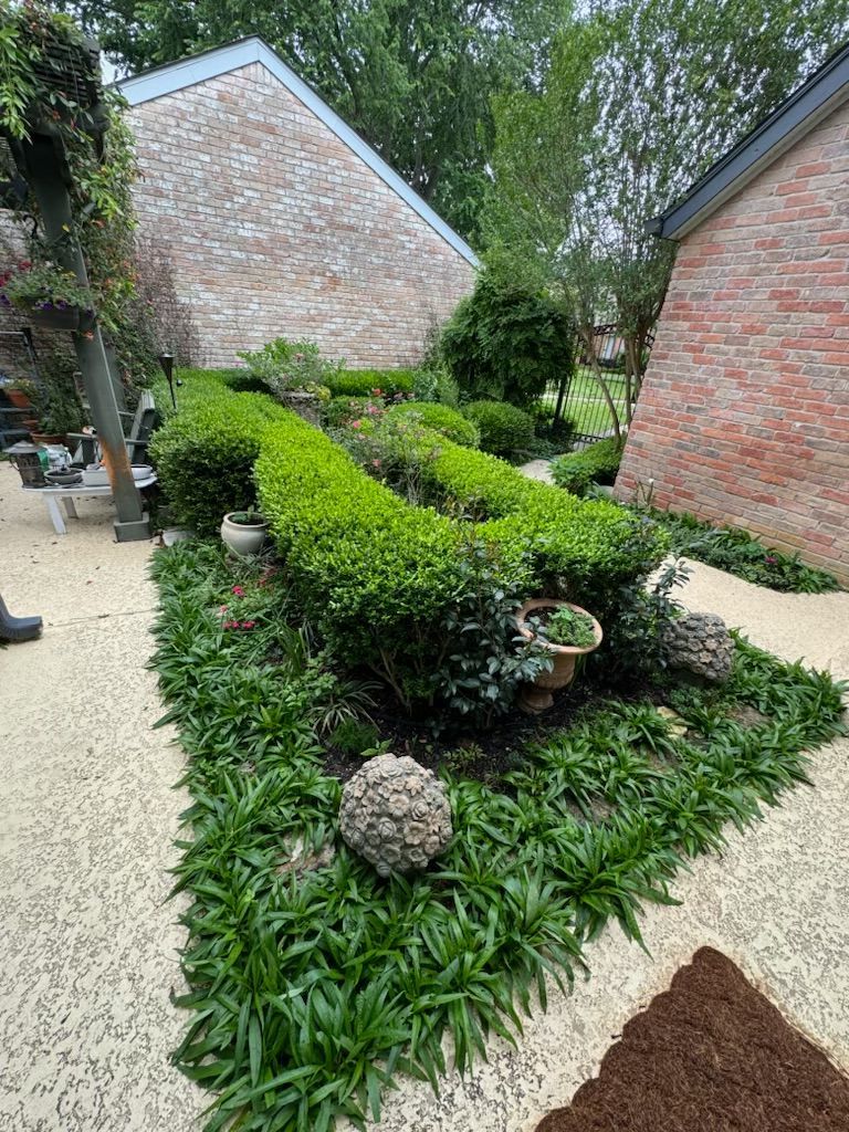 Well-manicured garden with various green plants and brick buildings in the background.