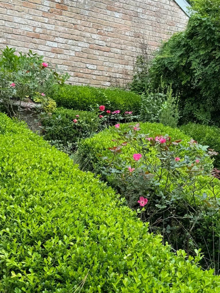 Green, tiered garden with shrubs and pink flowers against a brick wall.