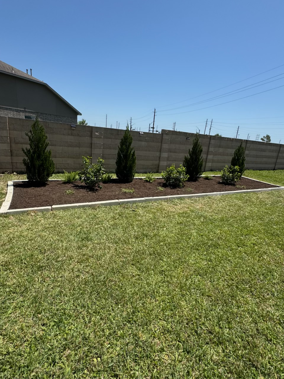 A well-manicured yard with a garden bed featuring trees and bushes along a concrete fence under a bright blue sky.