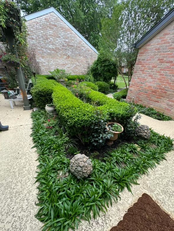 Landscaped garden with shaped hedges, brick buildings, and textured walkway. Green plants, stone accents.