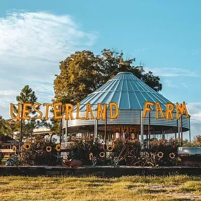 A metal carousel housed inside a large, circular grain bin structure at Vesterland Farm under a bright, sunny sky.