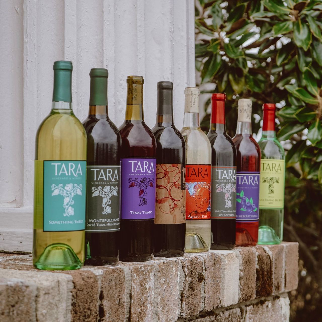 A row of eight various Tara Vineyard and Winery wine bottles lined up on a brick ledge in front of a white pillar.