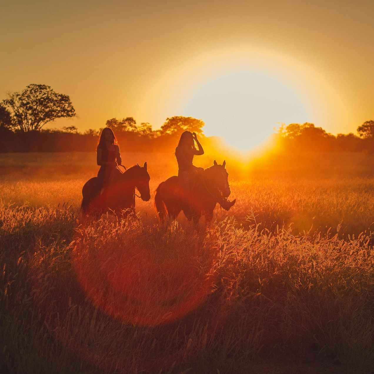 Two people riding horses through a sunlit field at sunset, silhouetted against a bright, warm golden horizon.