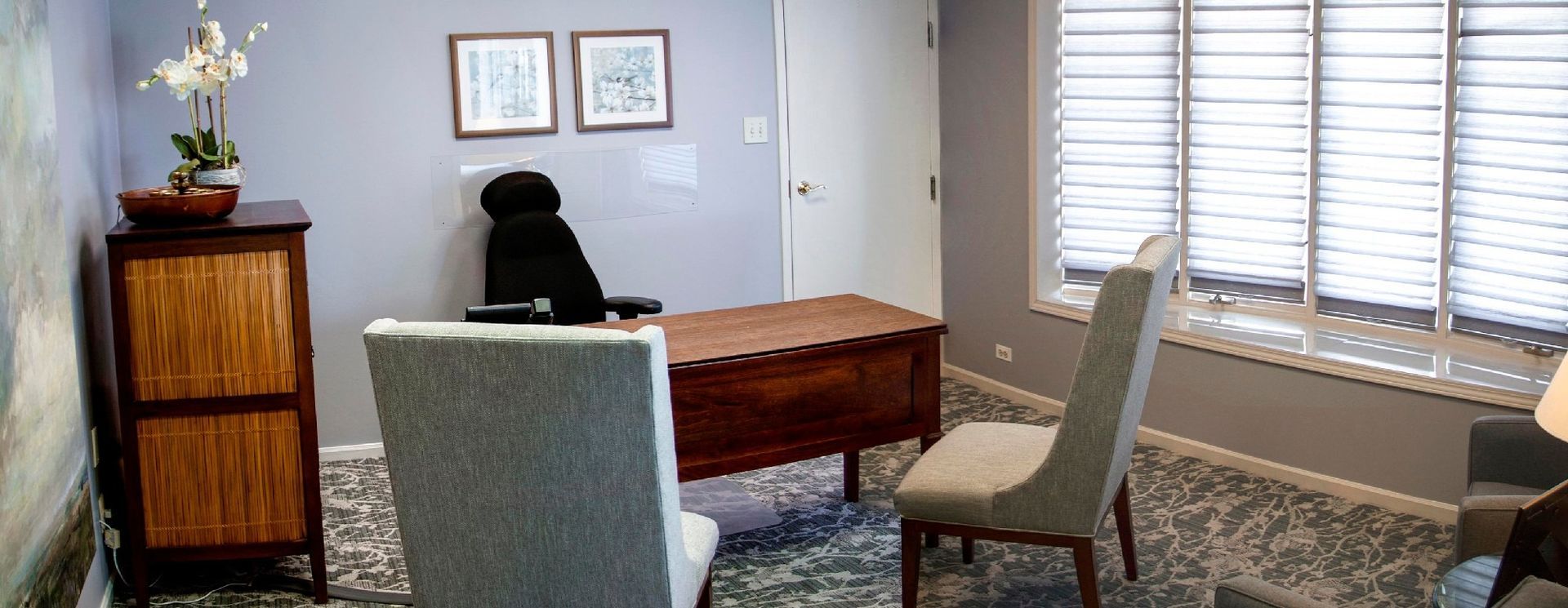 Small office with desk, chair, cabinet, framed art, and window blinds beside a rug and potted plant.